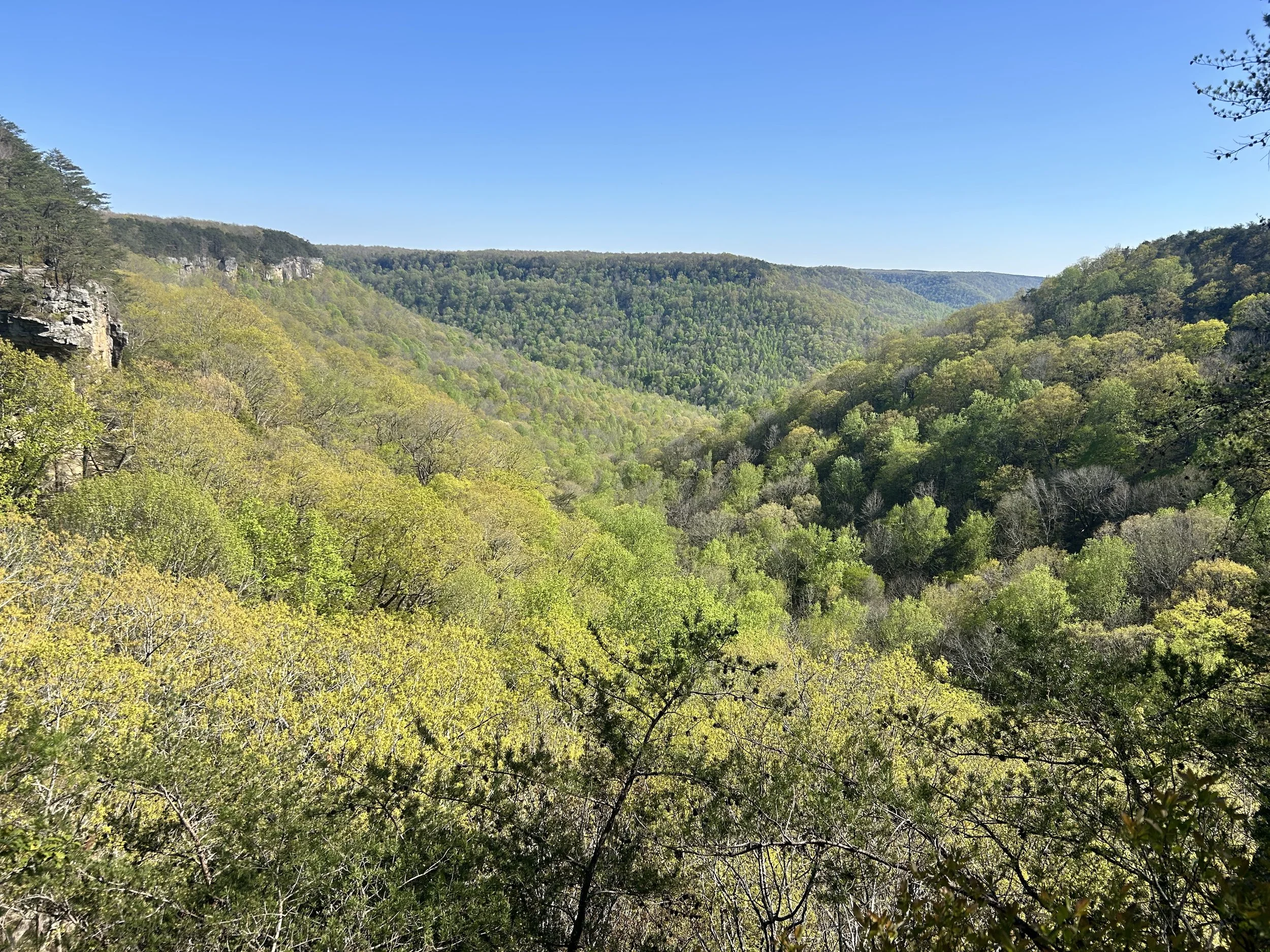 Hiking the Fiery Gizzard Trail