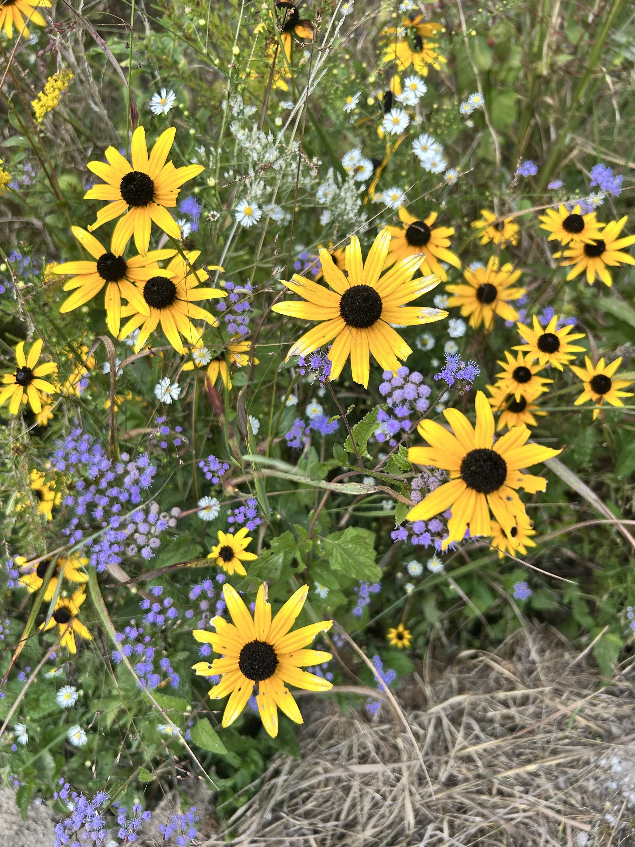 The Slow Lane: The Last Day of Summer