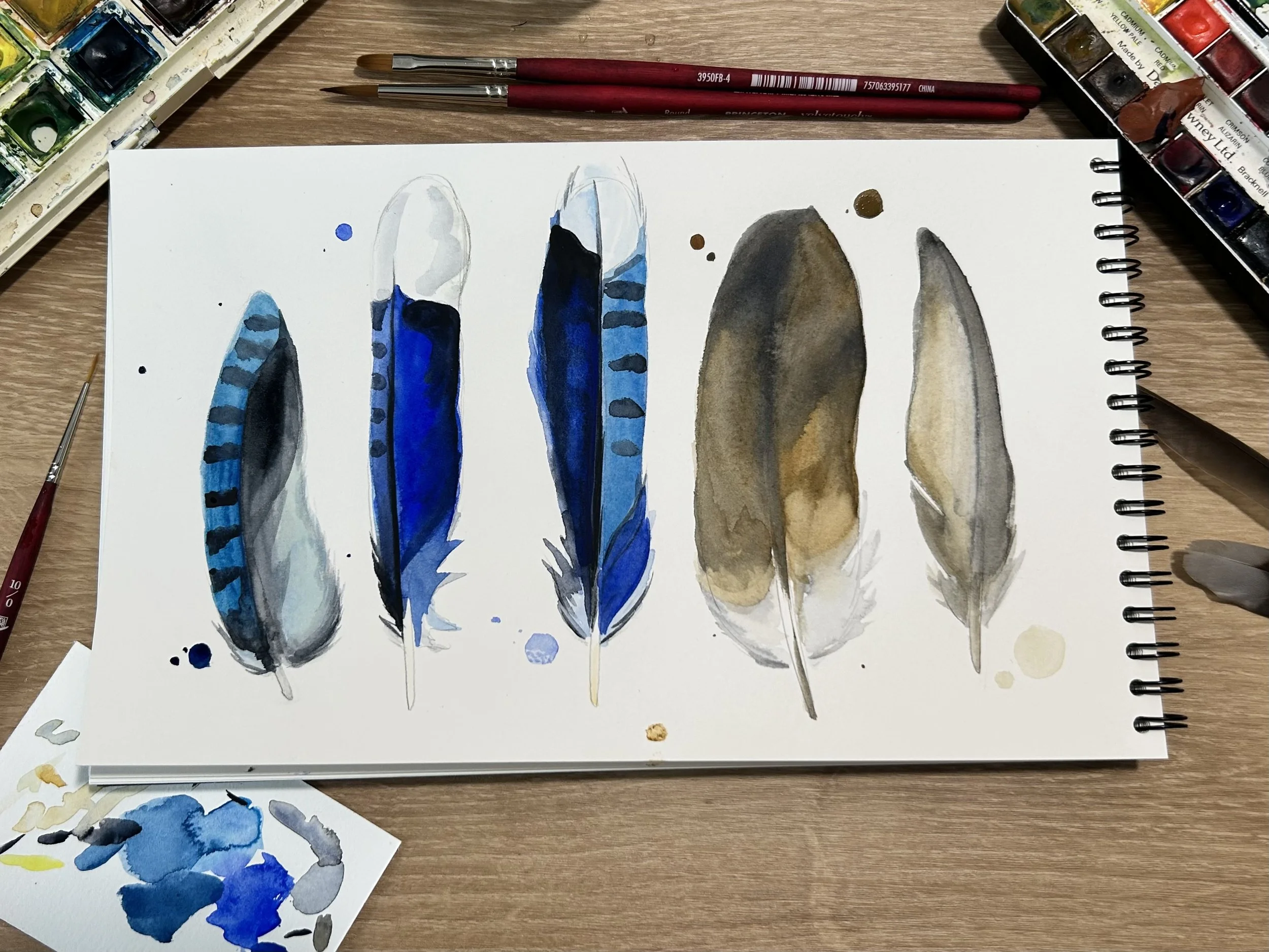 Watercolor Feathers