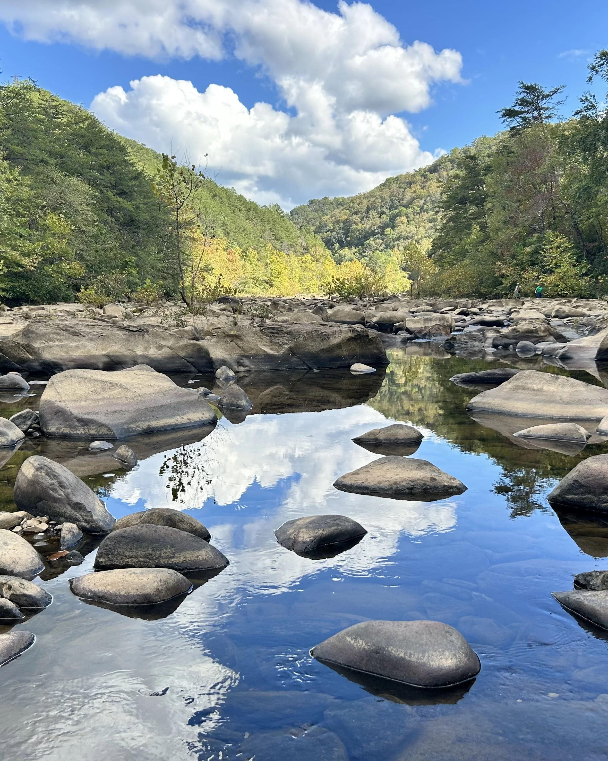 Camping in the Cherokee National Forest