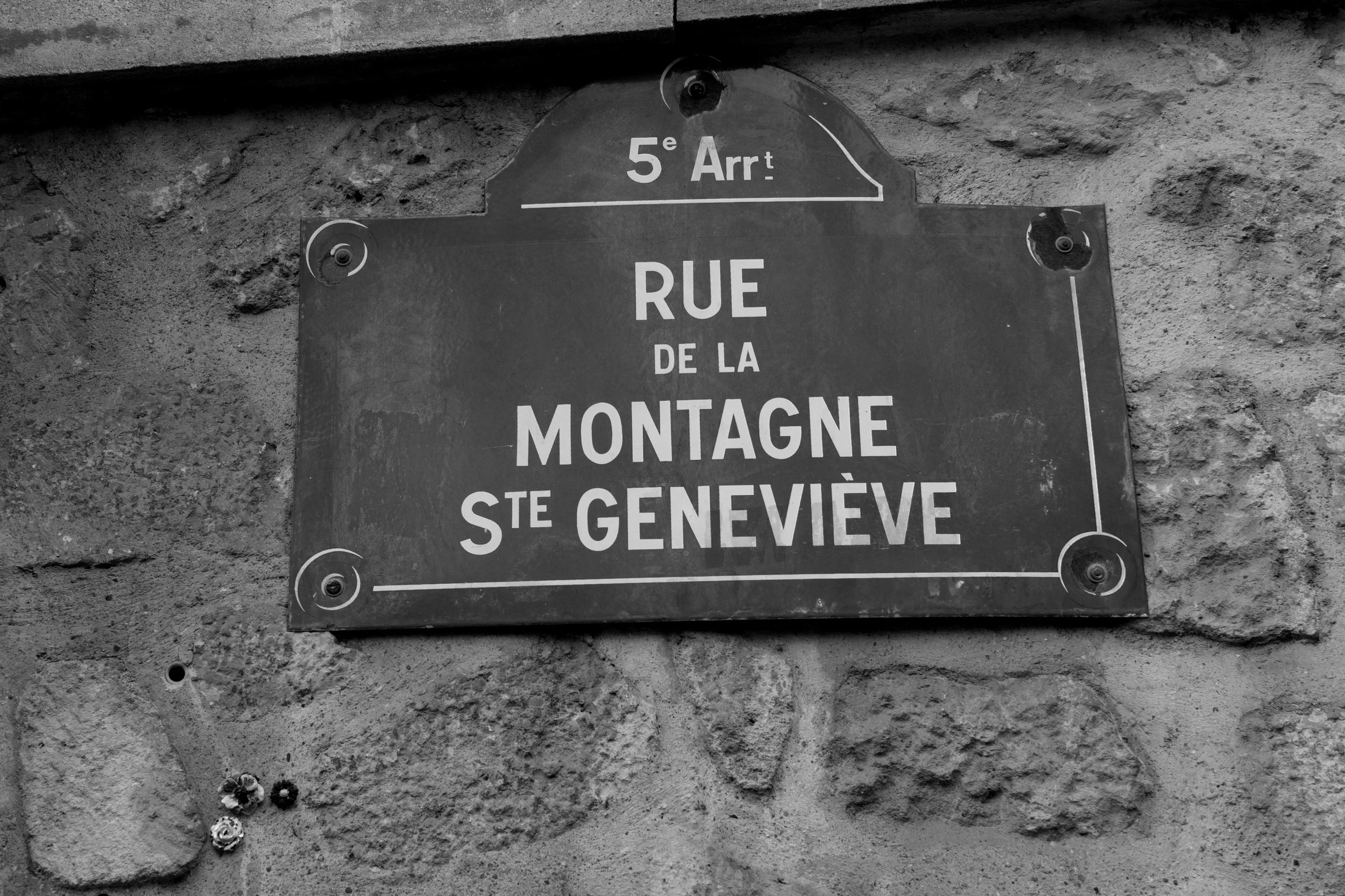 Montagne Ste Genevieve
