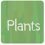 plants_icon.png