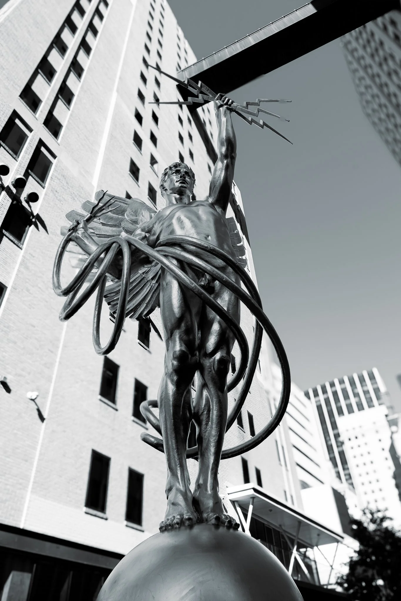 B&W Golden Communication