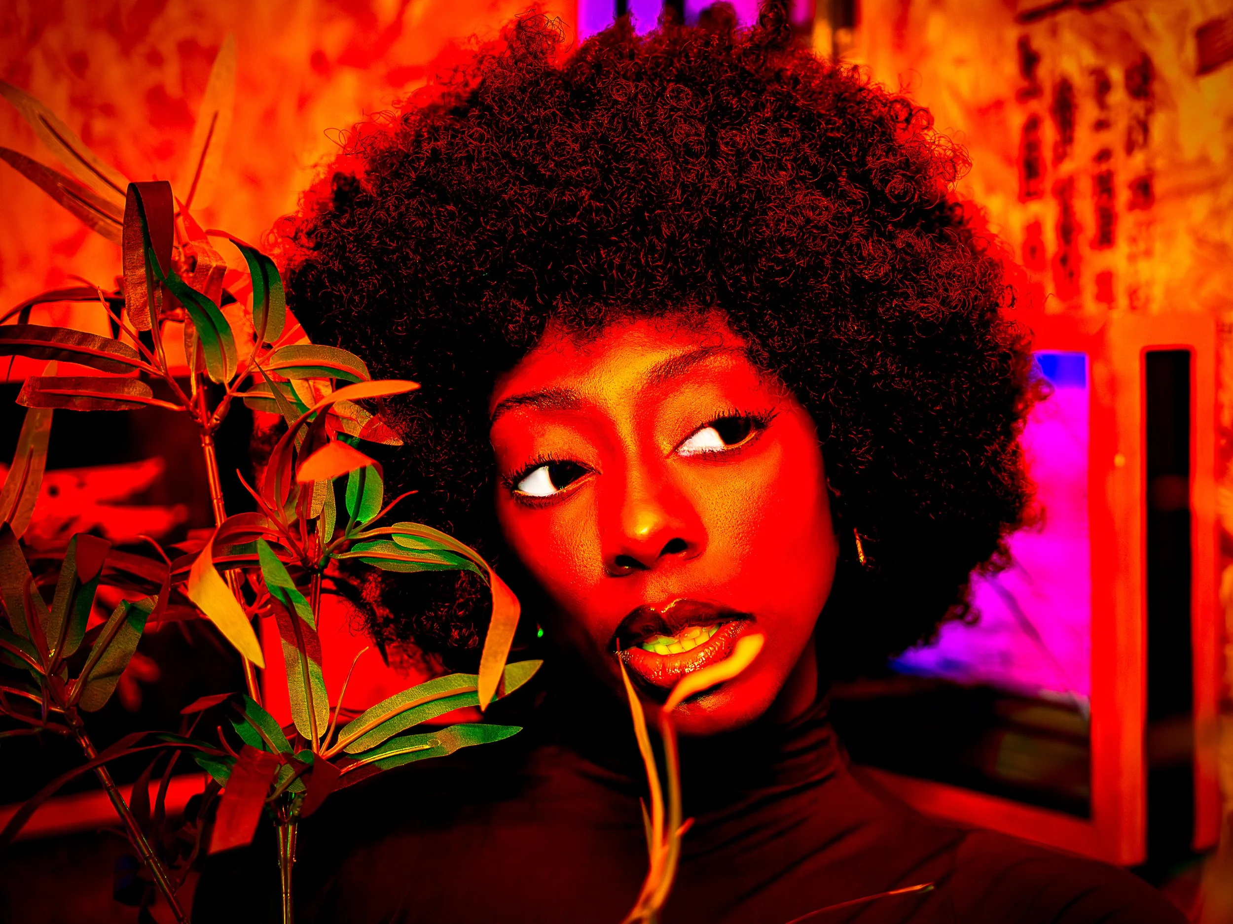 Ebony