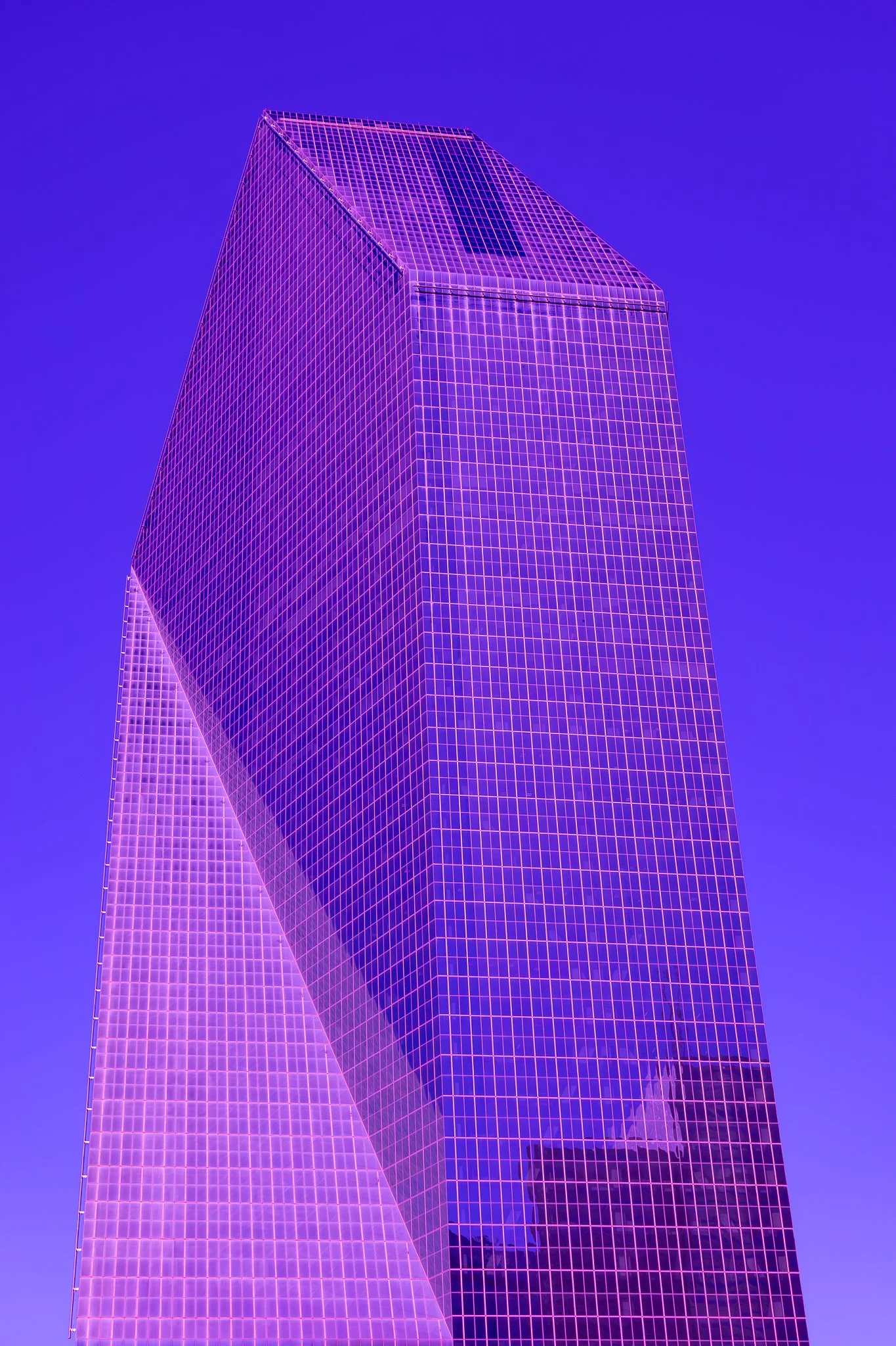 Purple Fountain