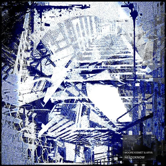 Moore Kismet x Arya - need2know
