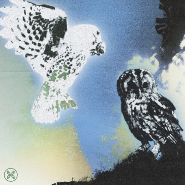  DJ Pet Centre - Void 