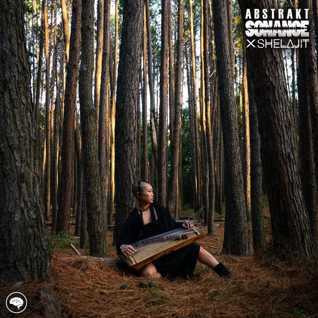 Abstrakt Sonance x Shelajit - Feel Myself Again (Guzheng Edit) 