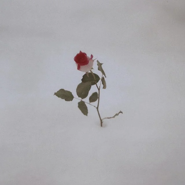 Janus x Rizzy Rails x Keta Kat - water 