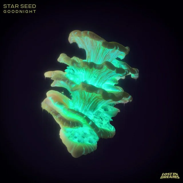 STAR SEED - Goodnight 