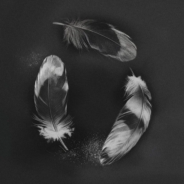 Slander x NGHTMRE x ZOHARA - Free &nbsp;