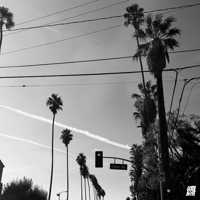 ero808 x NXSTY - KODAK 