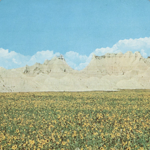 Black Brunswicker - Dreams of a Sunflower River 