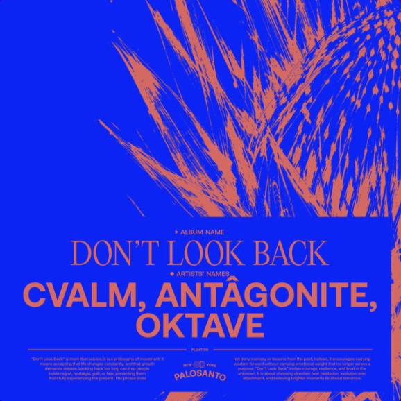 CVALM x Antâgonite x Oktave - Don't Look Back &nbsp;