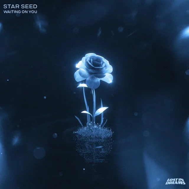 STAR SEED - Waiting On You &nbsp;