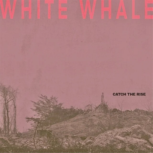 Catch the Rise - White Whale &nbsp;