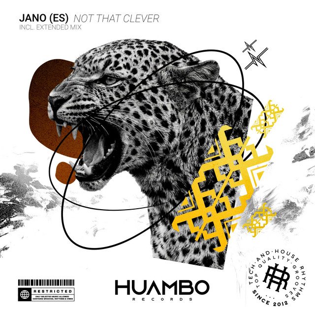 JANO (ES) - Not That Clever &nbsp; 