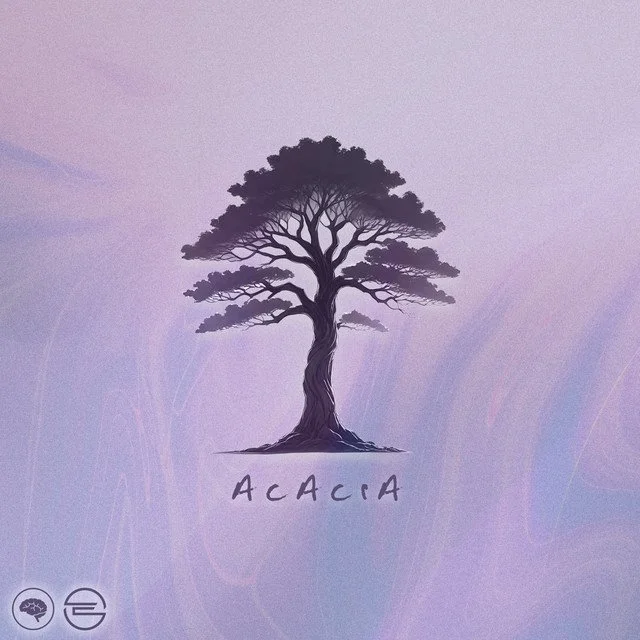 ENiGMA DUBZ - Acacia &nbsp;
