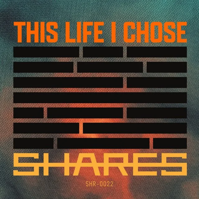 shares - This Life I Chose &nbsp;