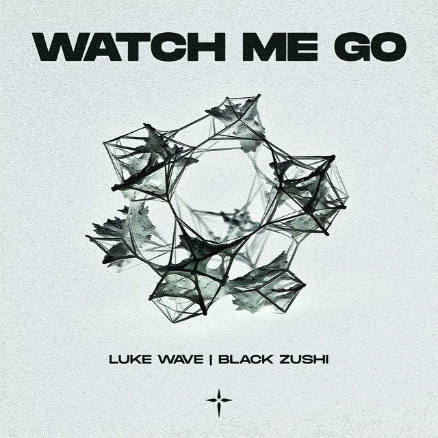 Luke Wave &amp; Black Zushi - Watch Me Go &nbsp;