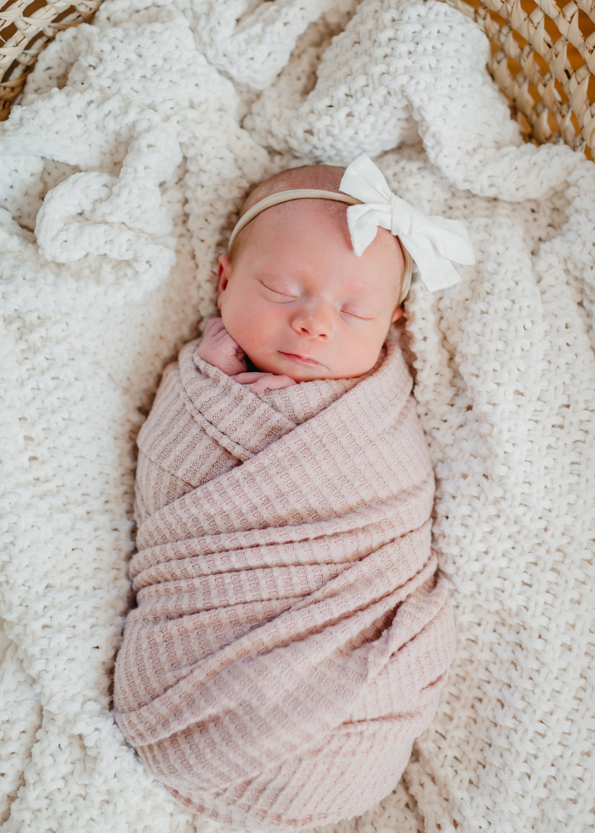 The Steenbergens | Brand New