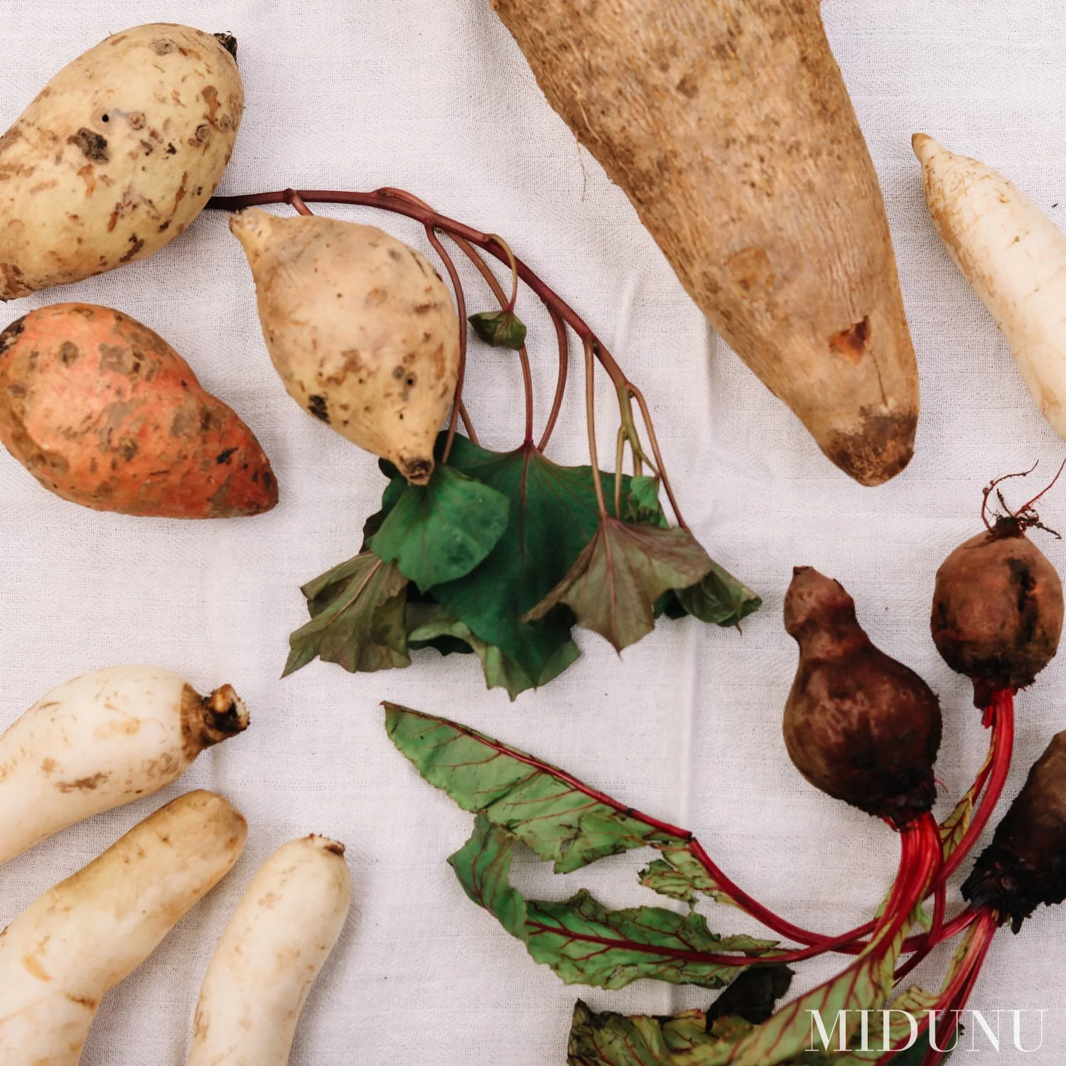 What the Garden Teaches: Slowness, Seasons, and the Long Table