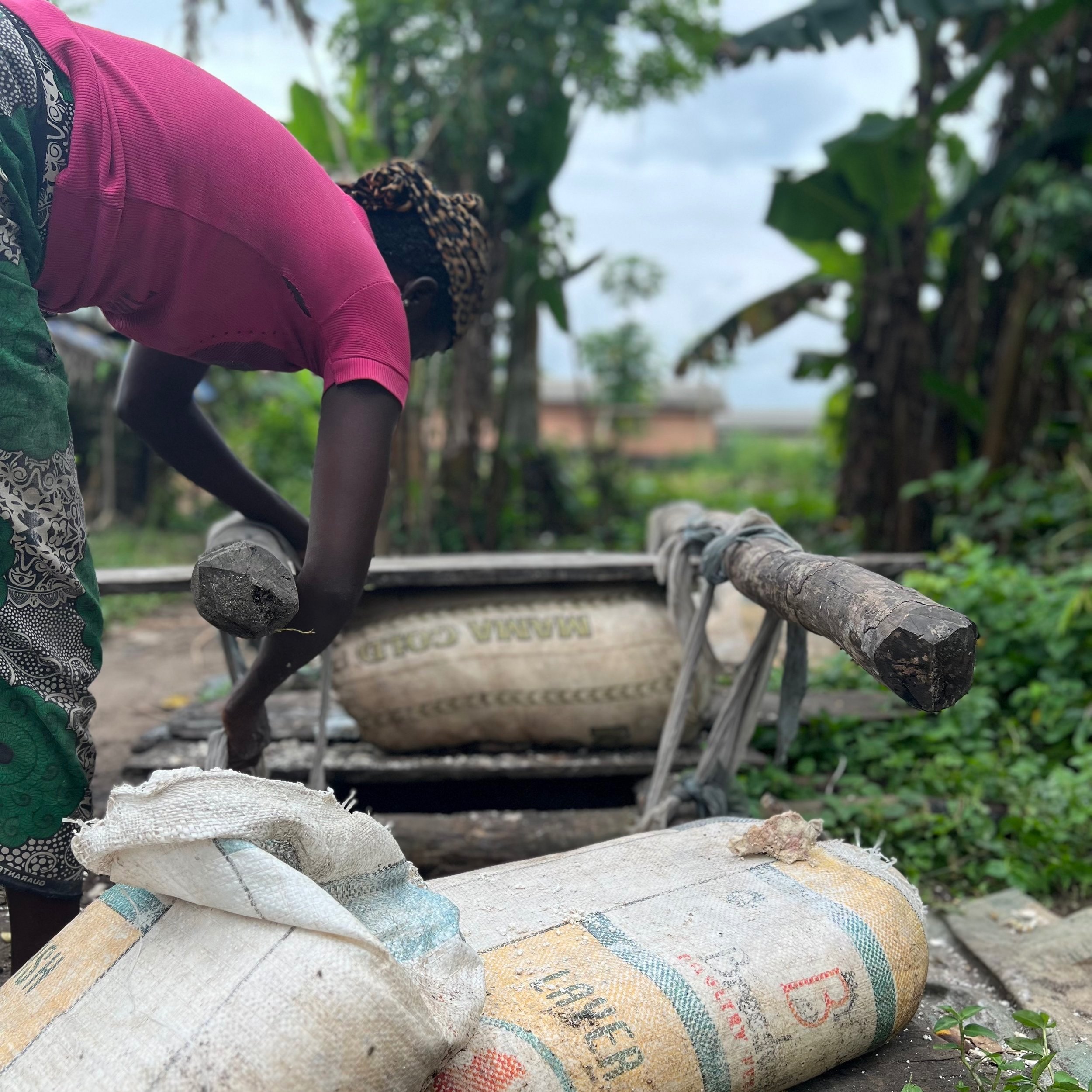 The Flavor of Time: Fermentation and the Future of Food