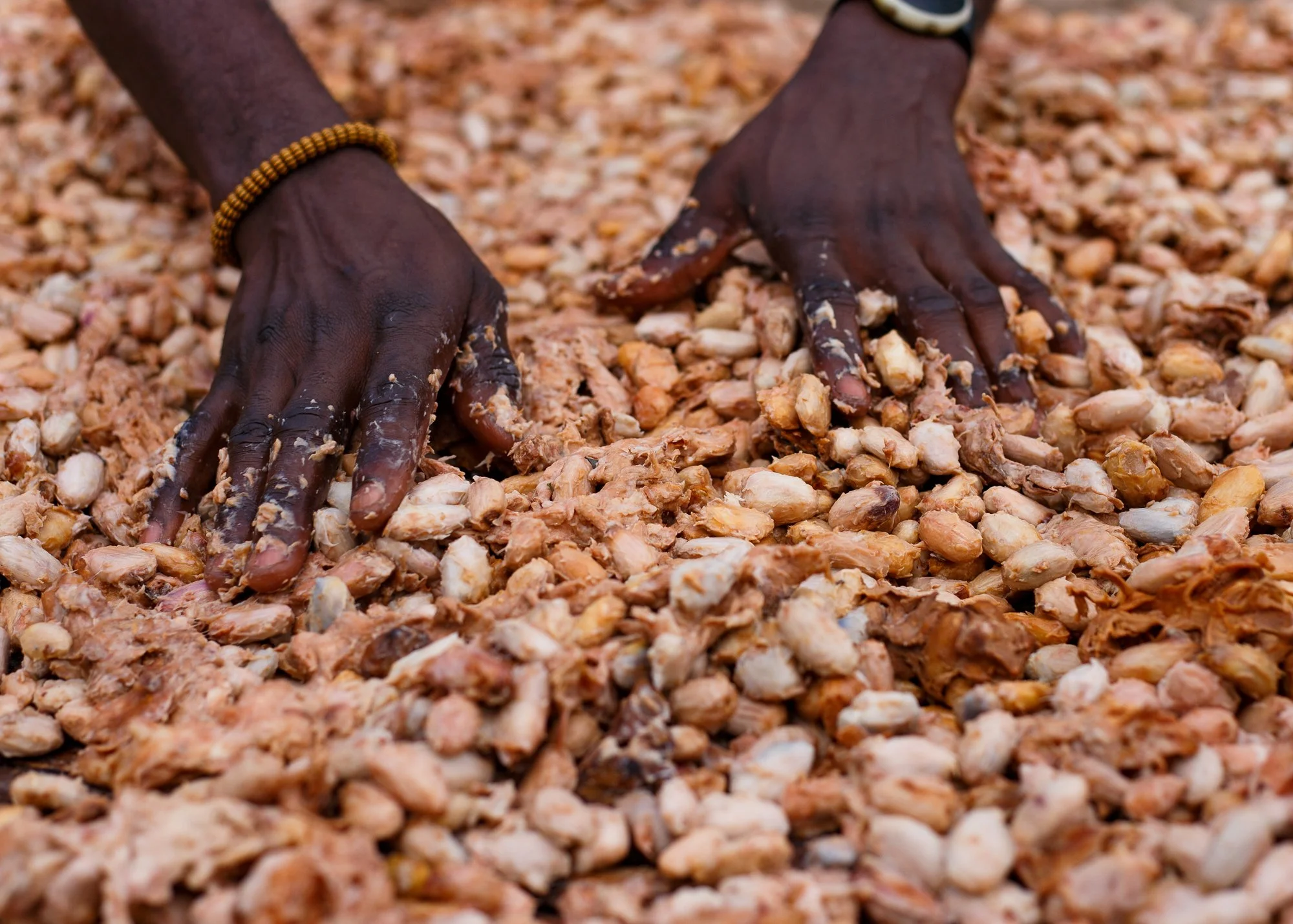 What Ghanaian Cocoa Is Called, and What That Costs