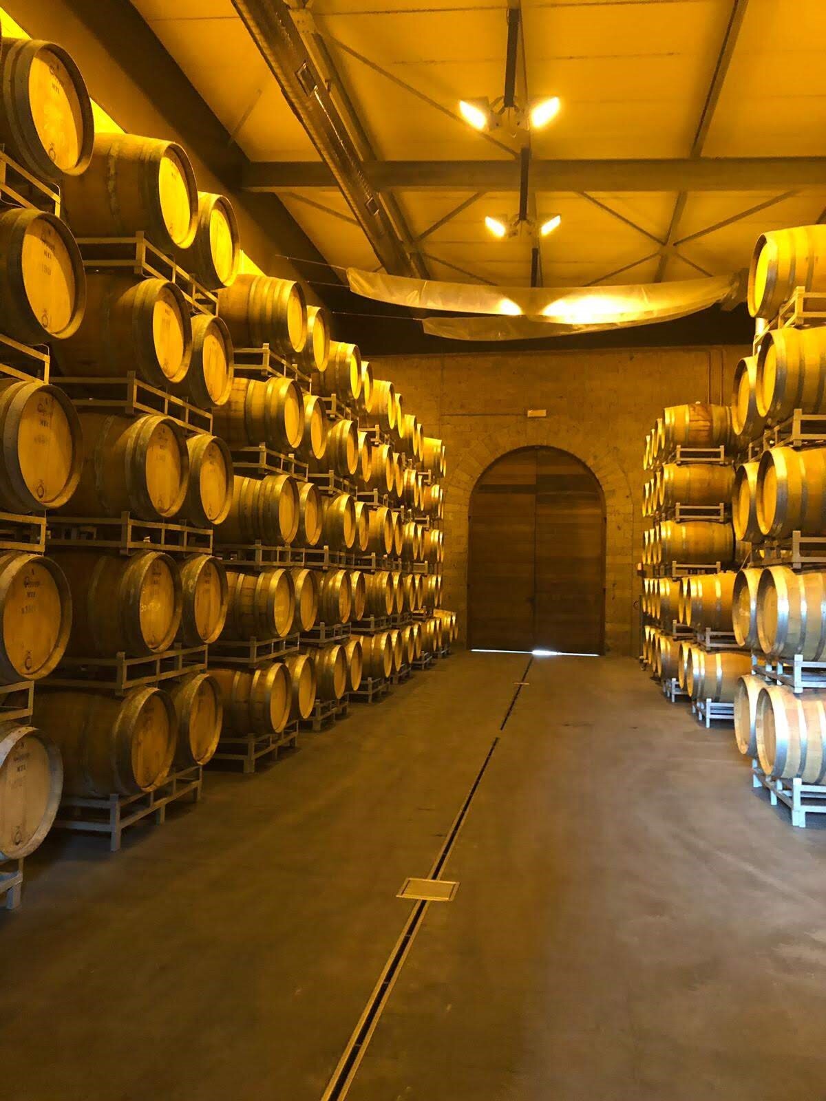 Bigi barrells.jpg