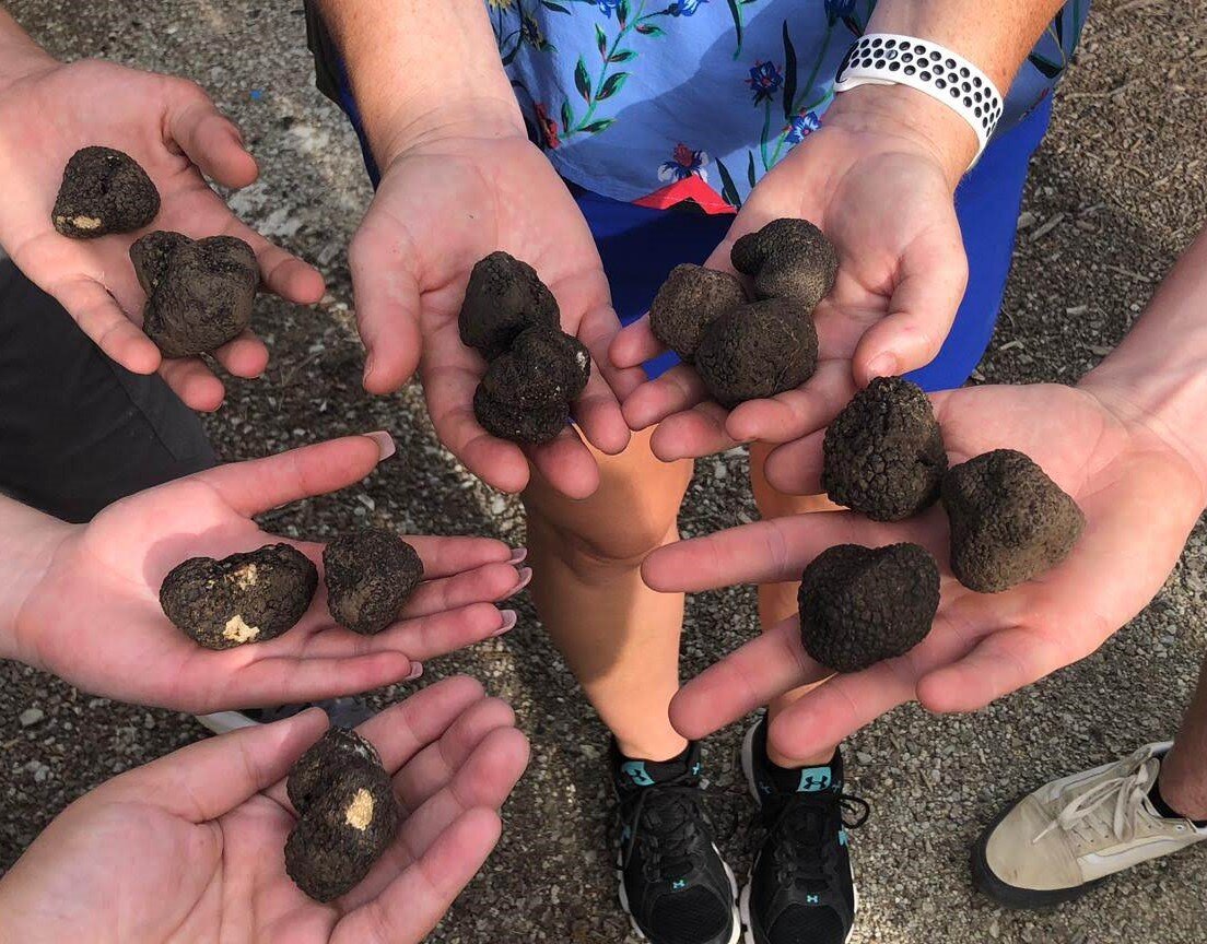 truffles.jpg