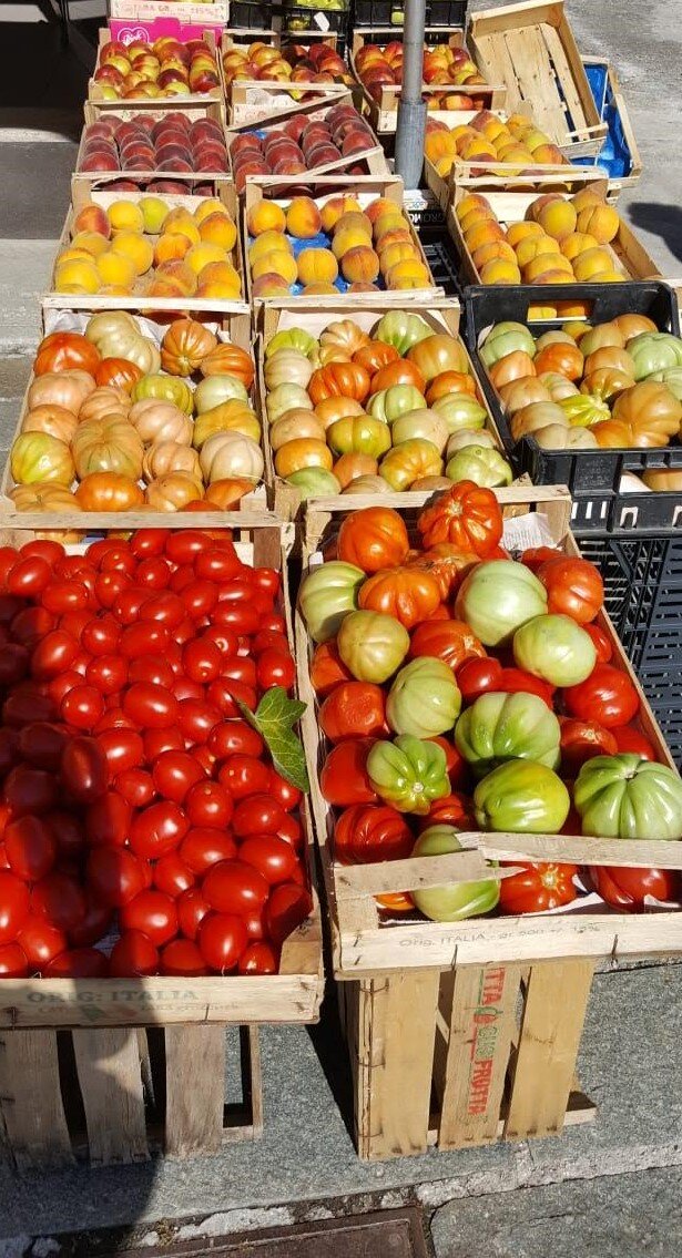 tomatoes .jpg