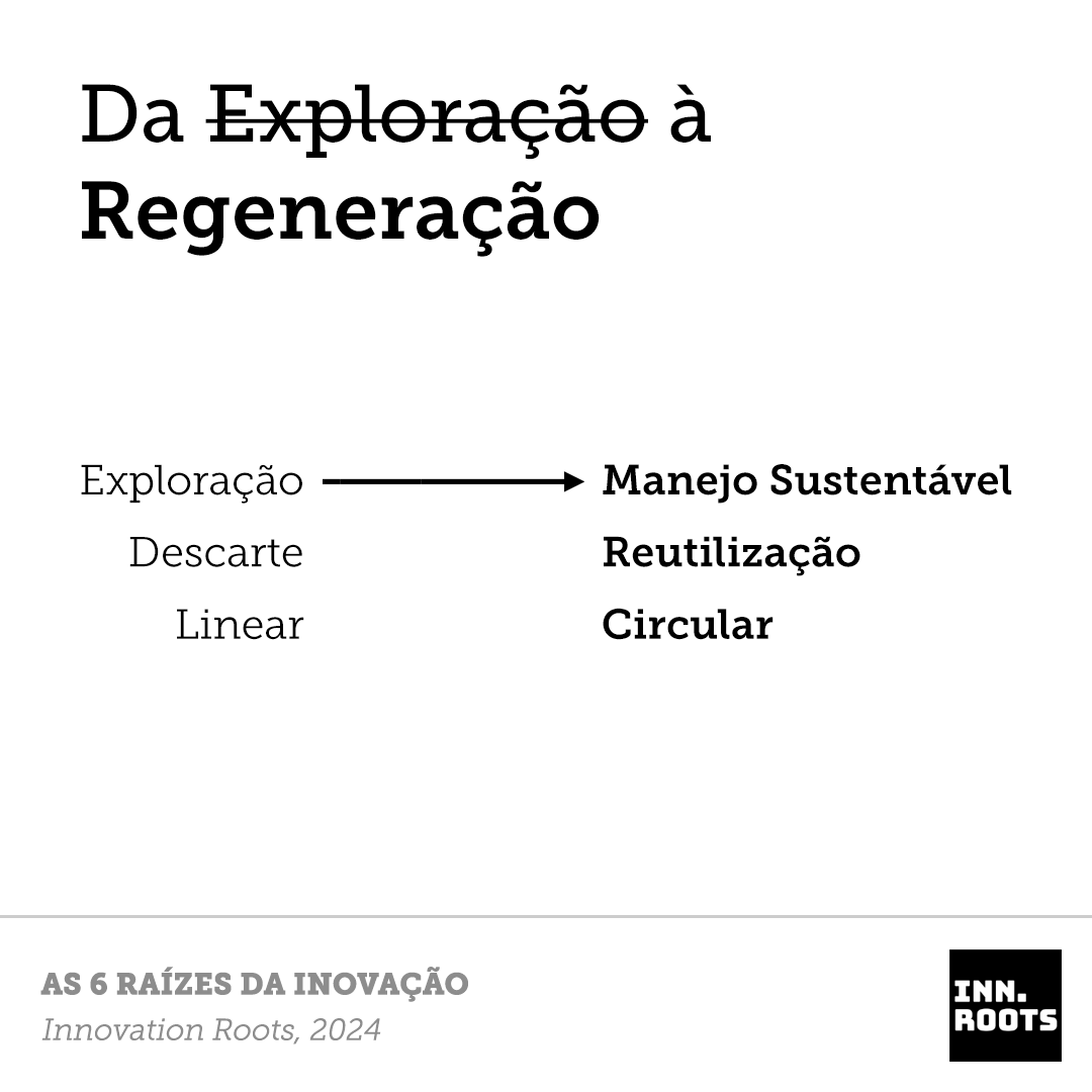 Conteúdo relacionado: Lentes do Inn.Roots - As seis raízes da inovação para o nosso tempo