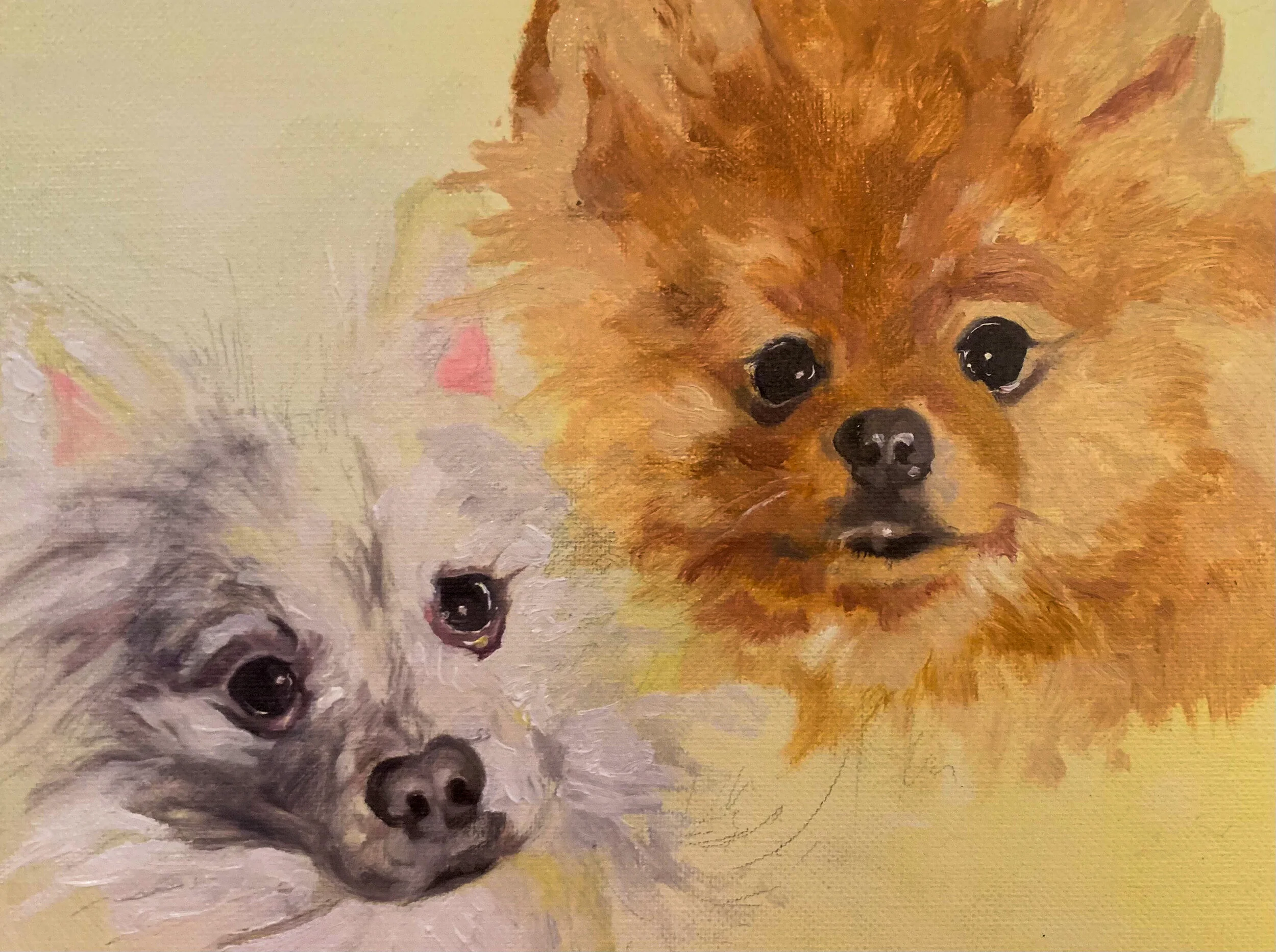 pet portrait three.JPG