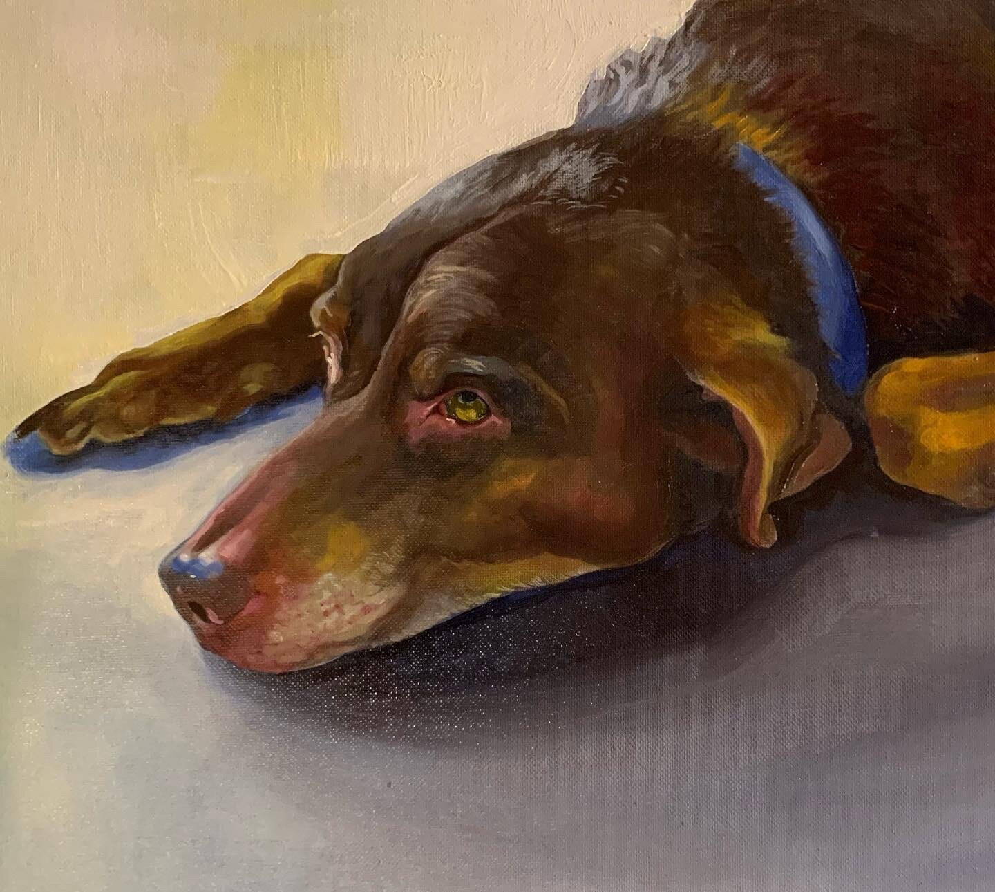 pet portrait Tawney .JPG