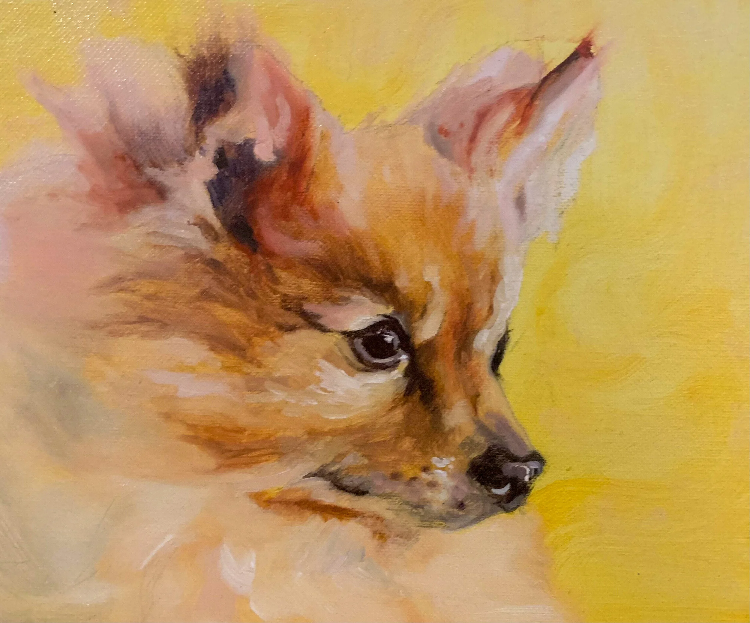 pet portrait two.JPG