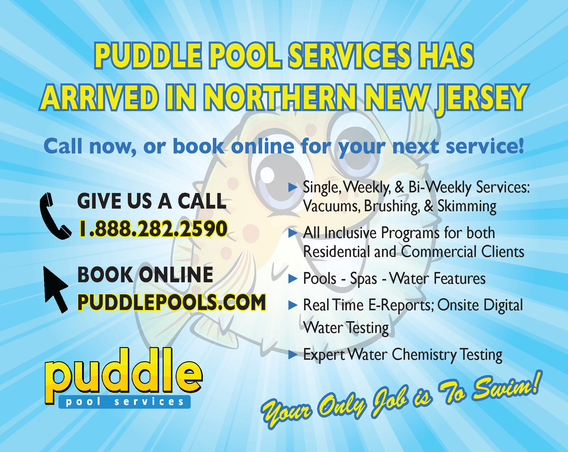 Puddle Pool Services EDDM_Page_1.png