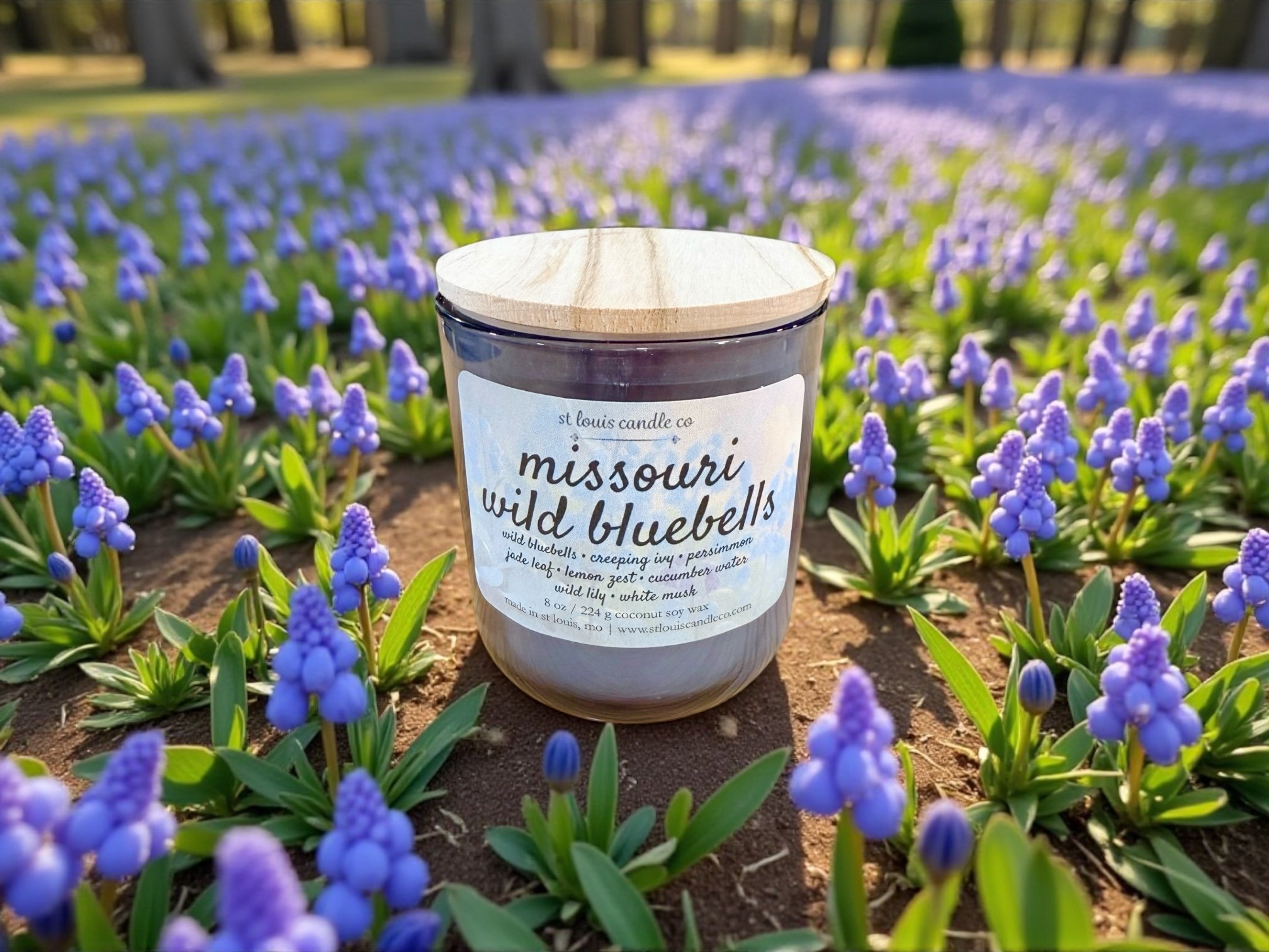 Missouri wild bluebells