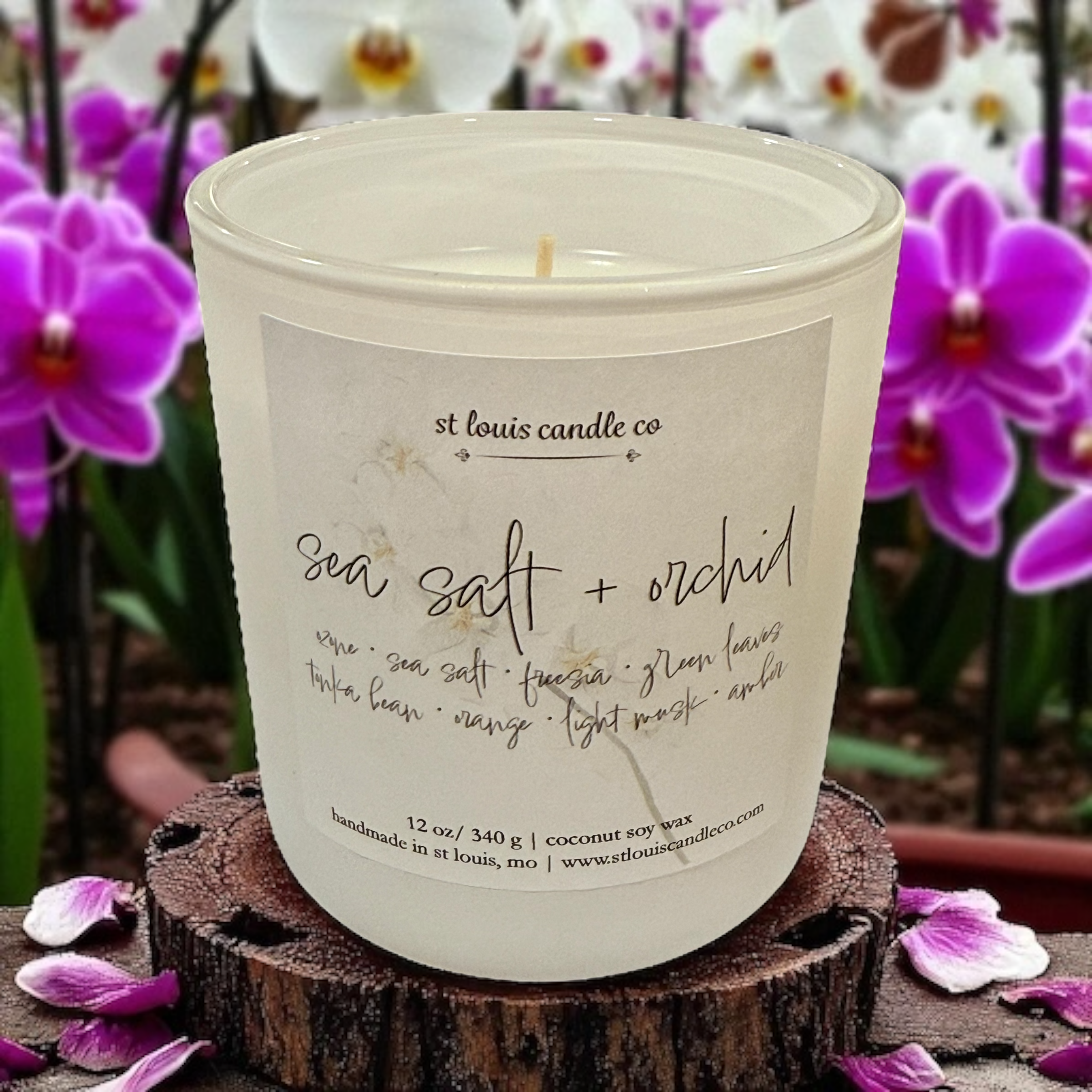 sea salt + orchid
