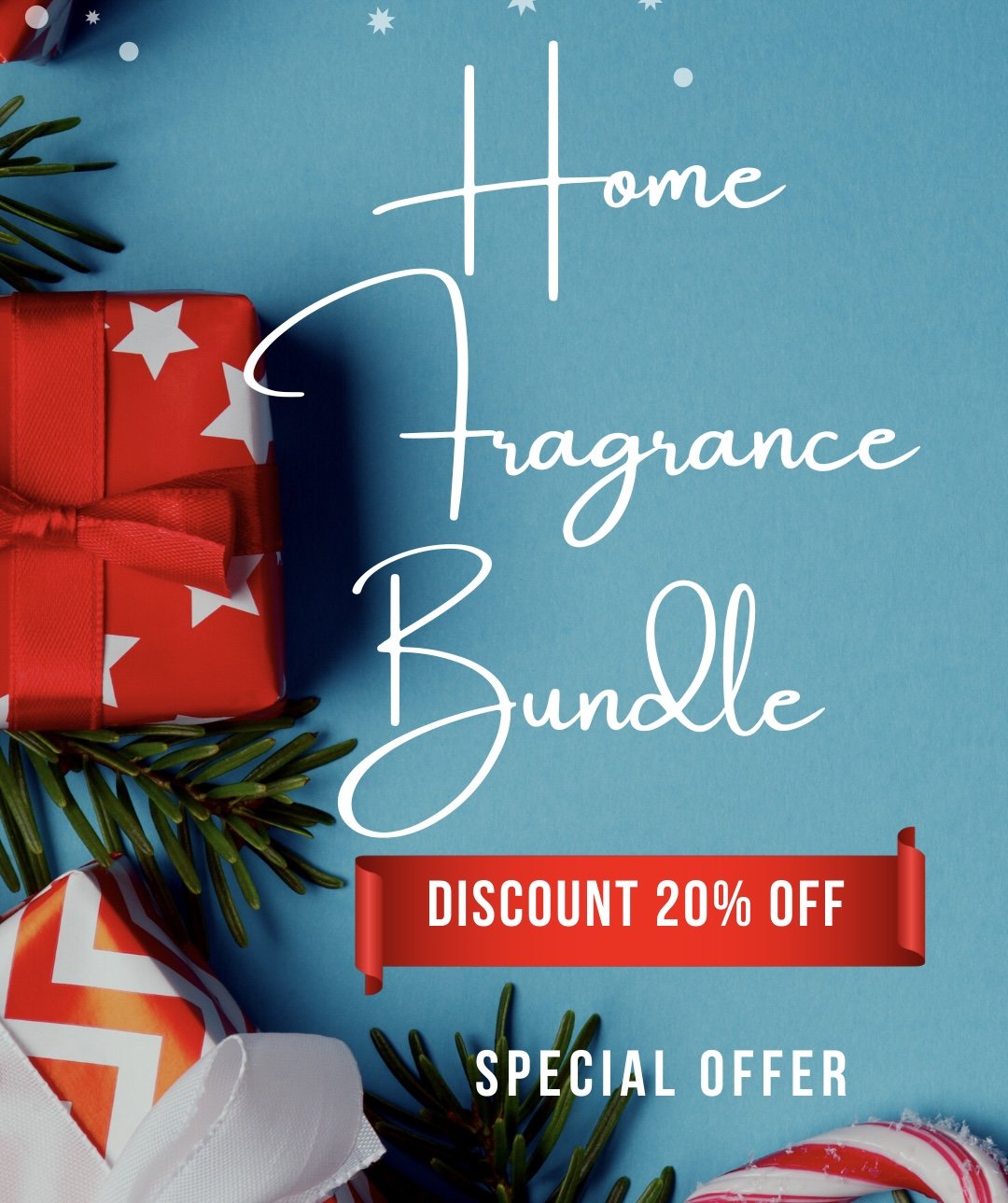 Red Blue Christmas Sale Special Offer (Instagram Story).jpg