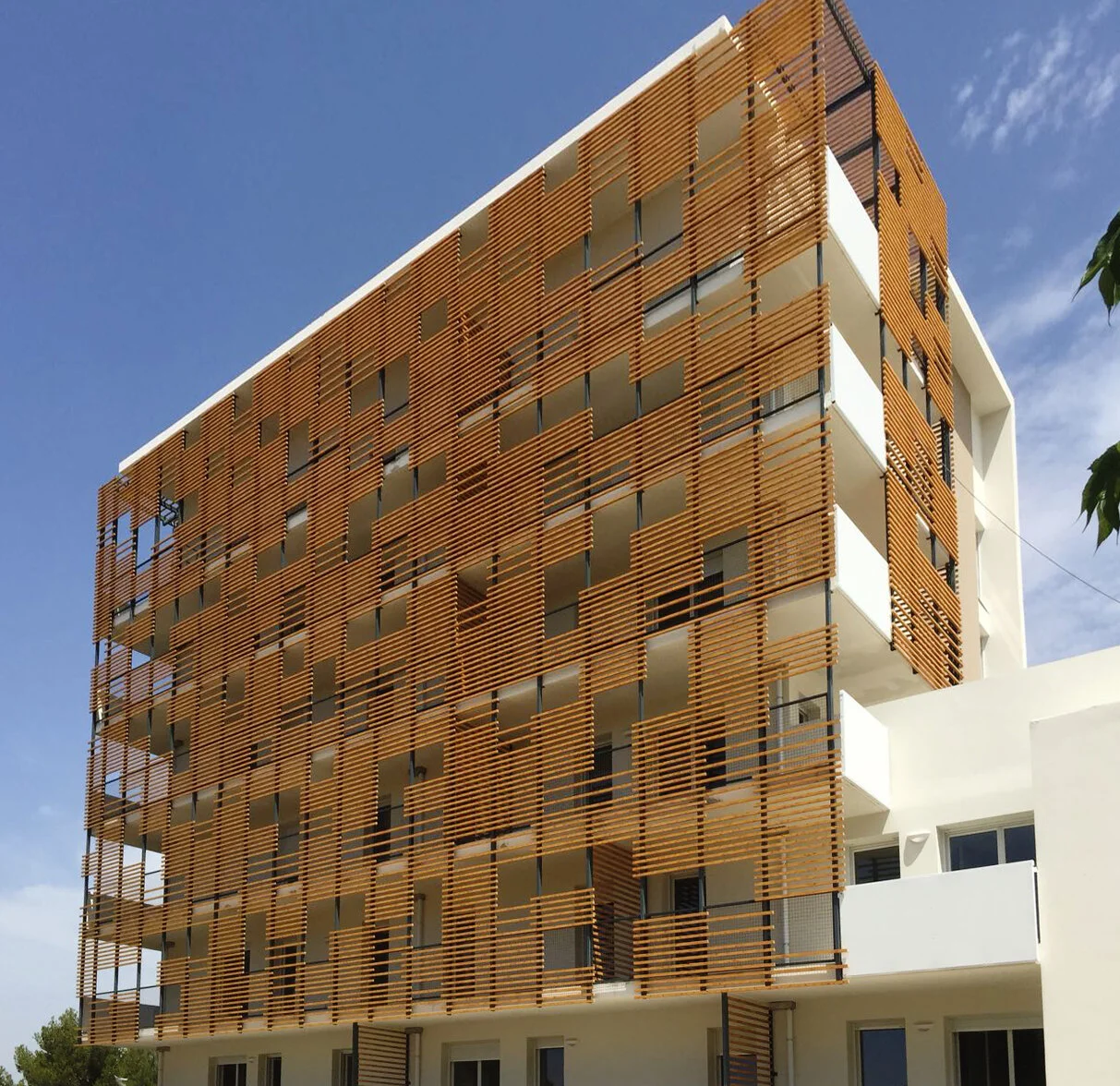 La Savine ECOLE - Cipres Group (1).jpeg