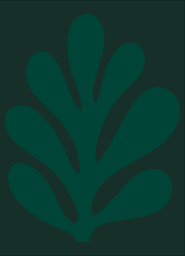 WTM_Patterns-07.png