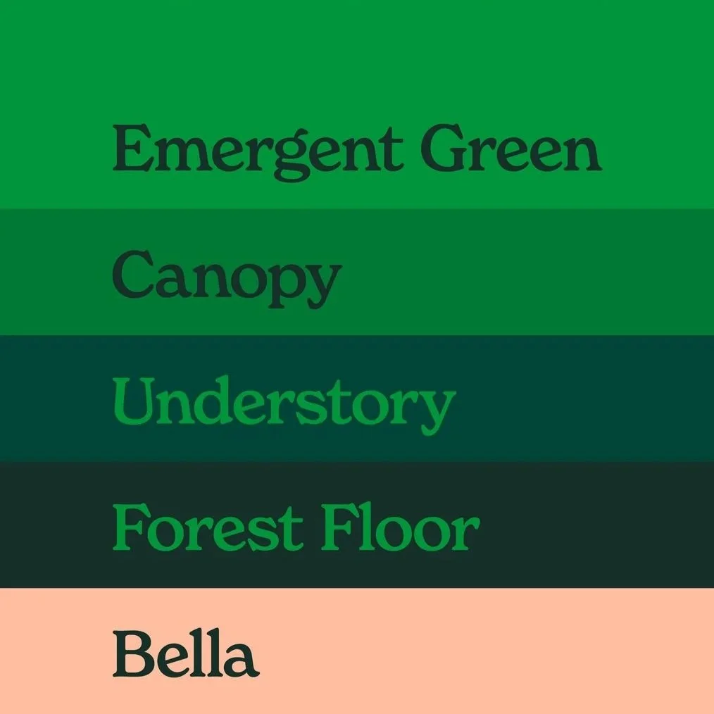 THRV_BrandGuidelines_Deck_r110.jpg