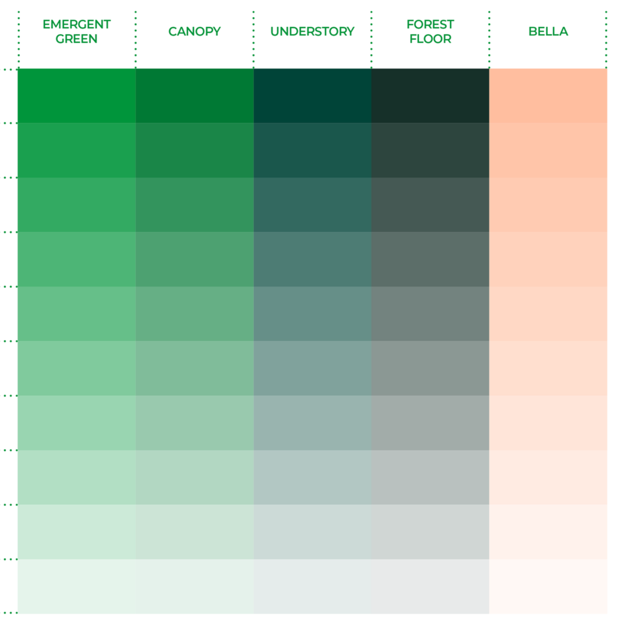 2024_WTM_Rebrand_BrandGuidelines31.png