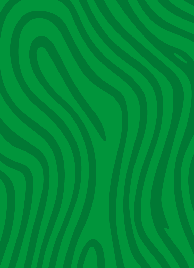 WTM_Patterns-01.png