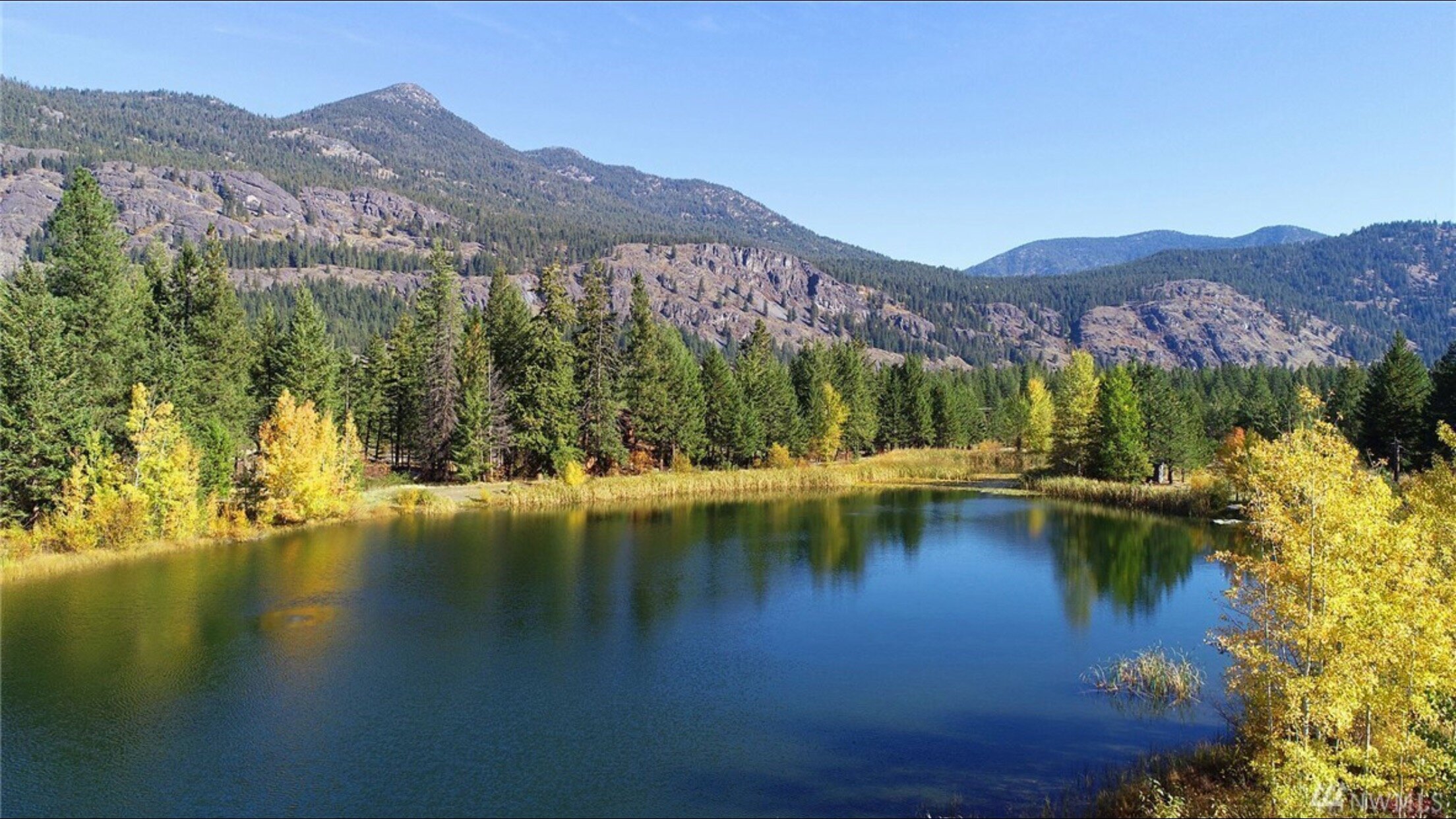 Freestone Lake