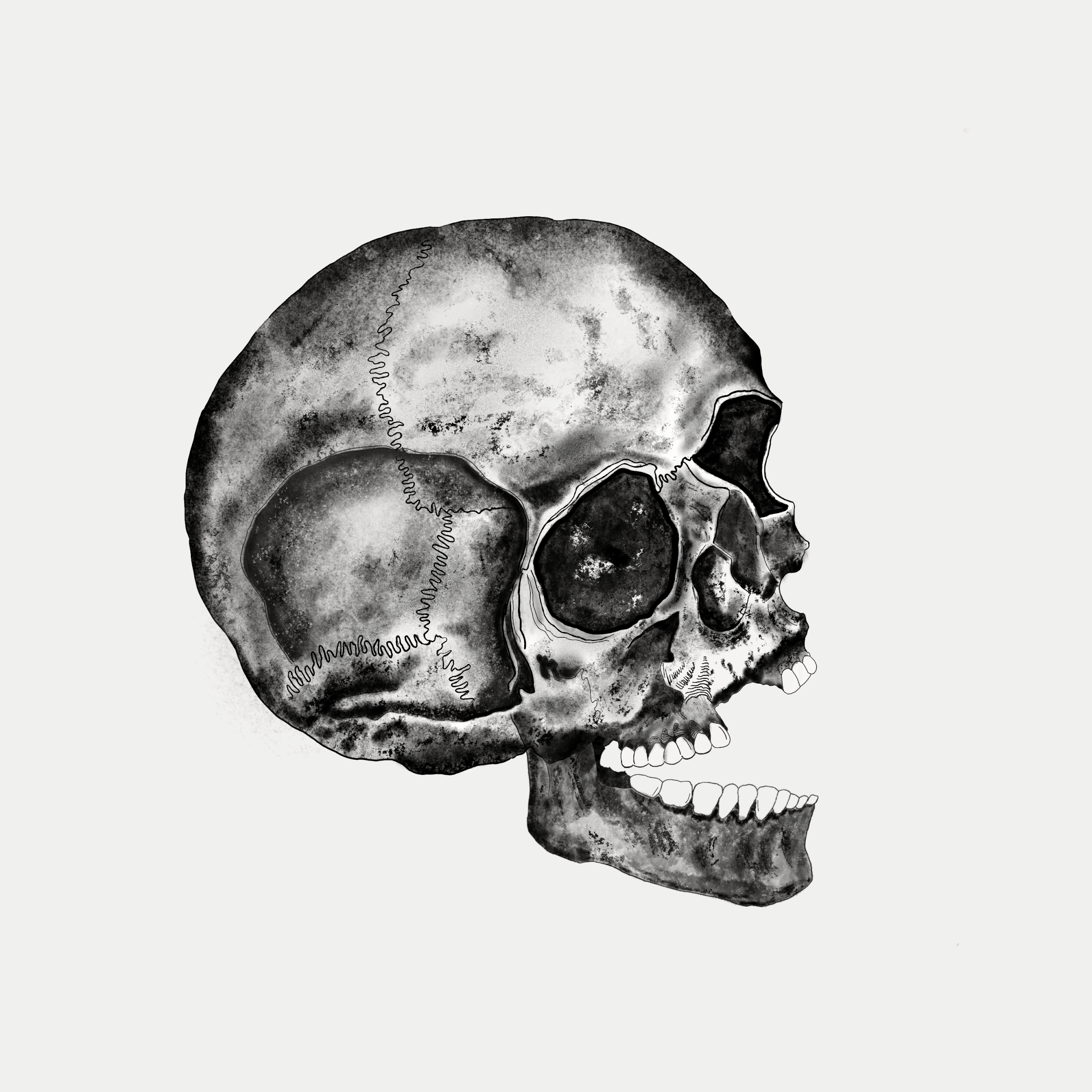 skull gif.gif