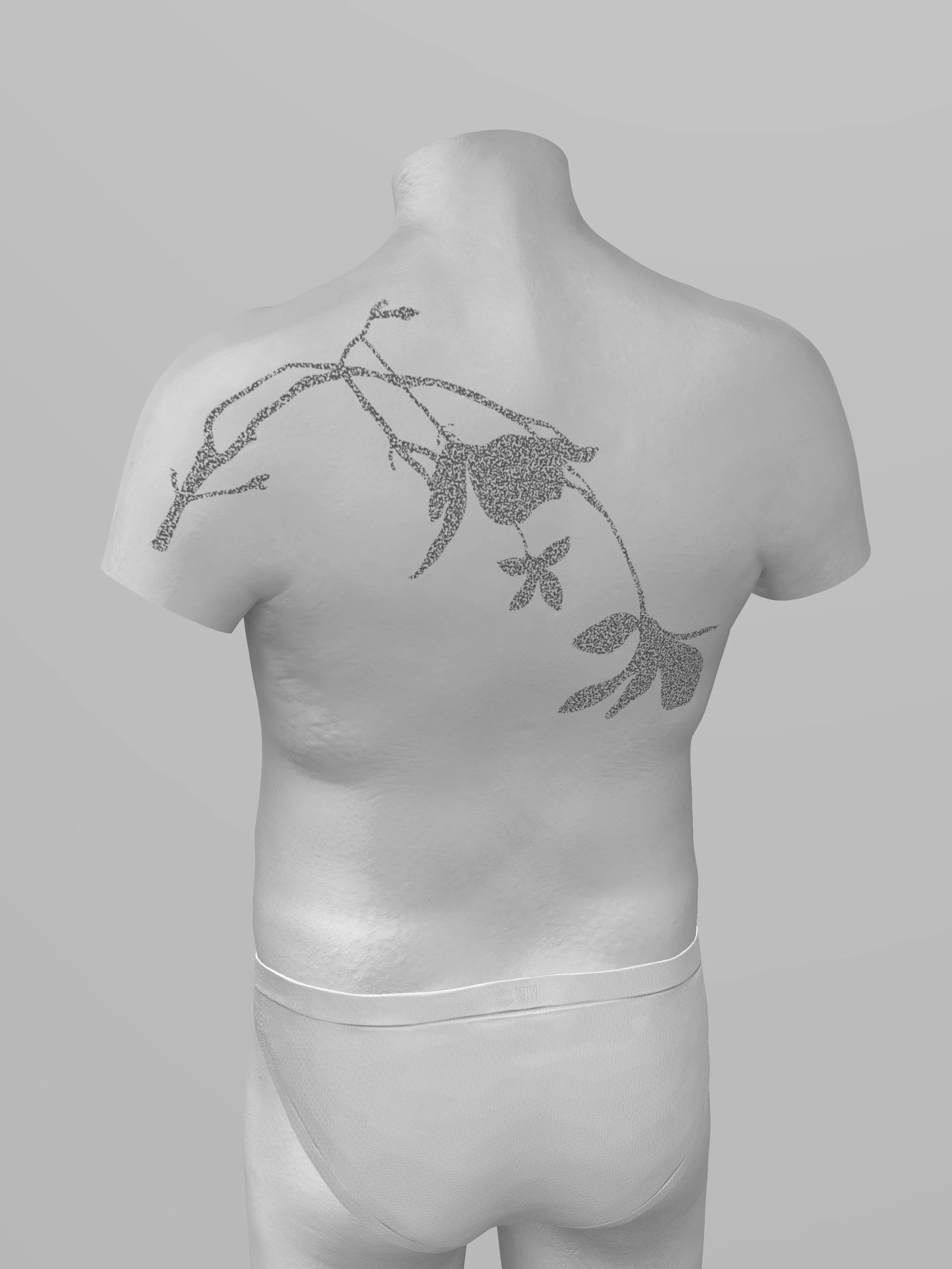 TS_ModelHumans_Norm_Torso_V3 7.jpg