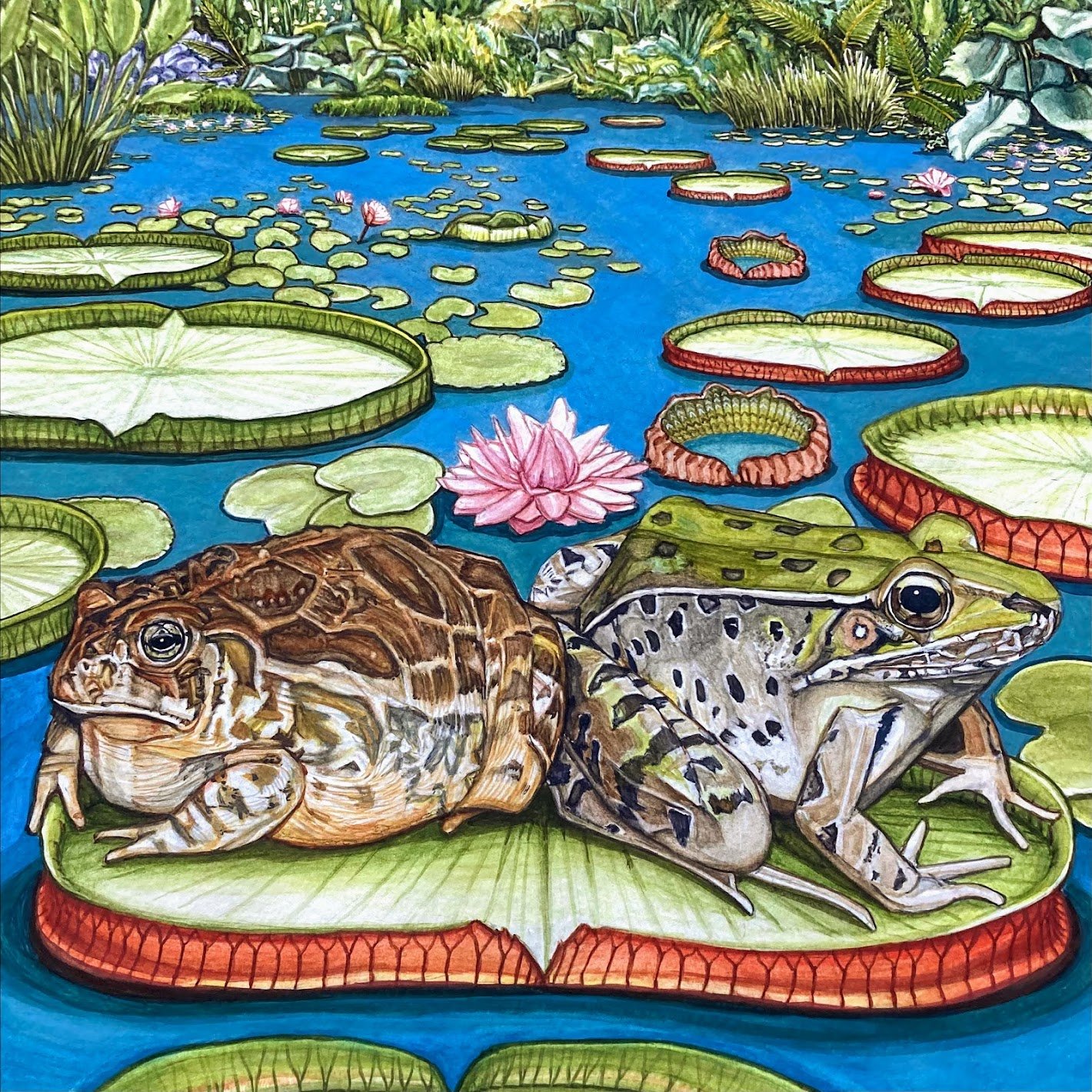 Frog and Toad, Watercolor // $800.00