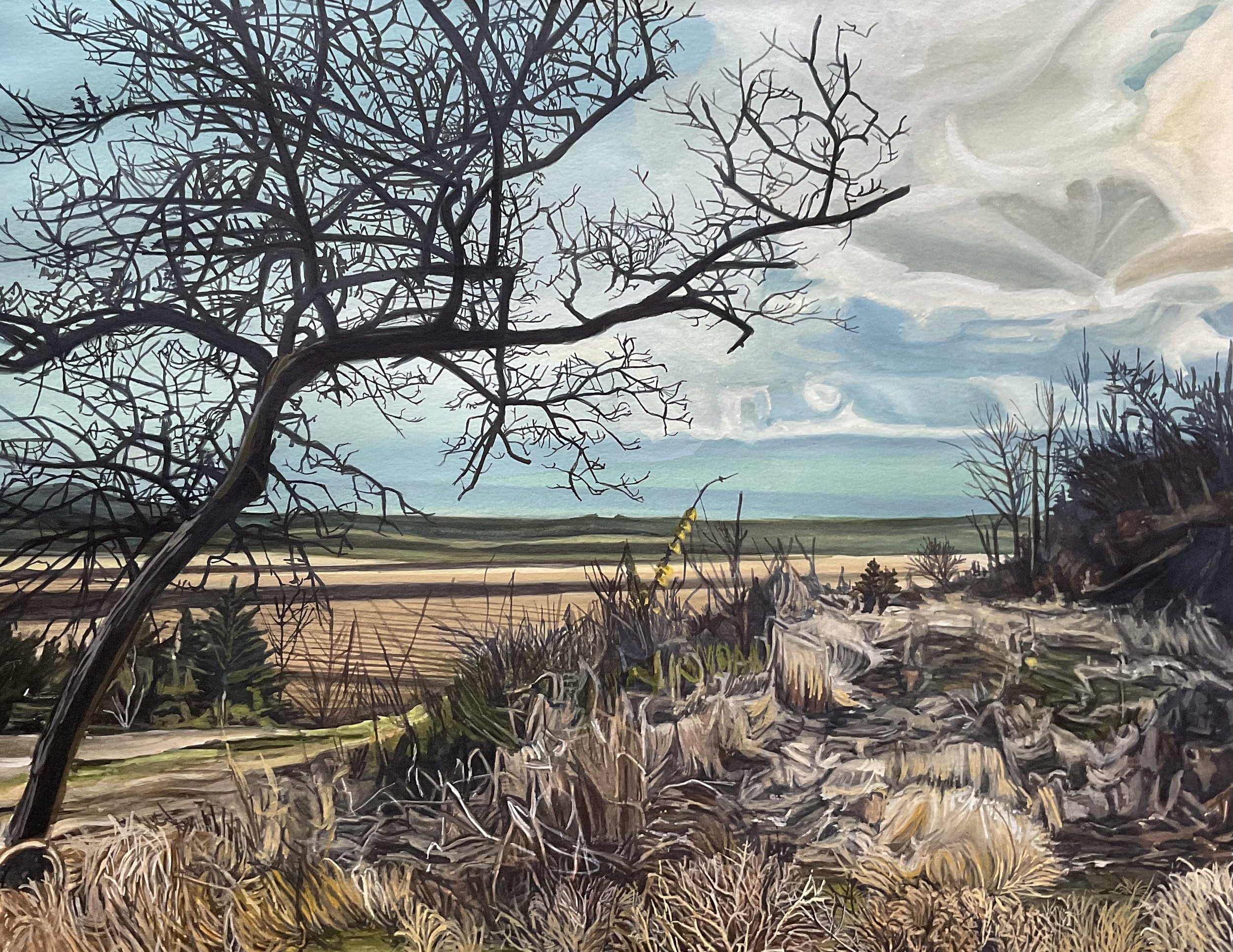 New Albin, Watercolor // $750.00
