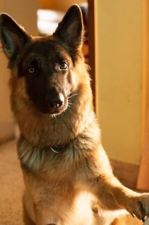 My best friend, Rocky